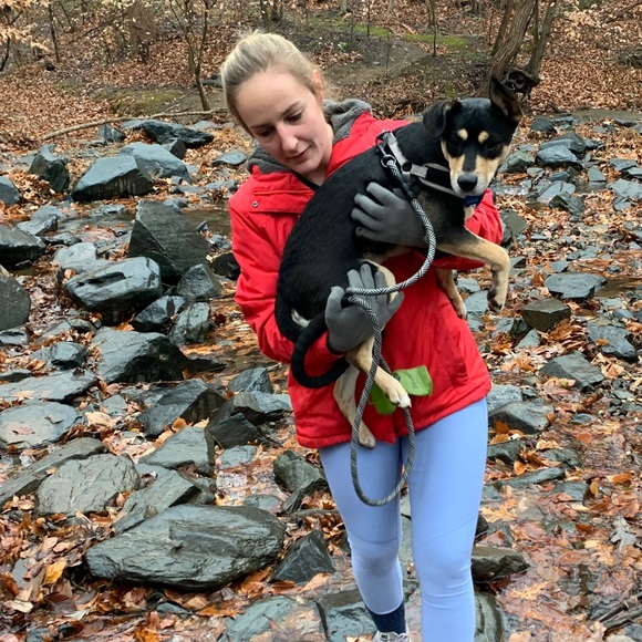 Meet your Posher, Sarah - Picture 1 of 1